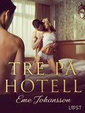 Tre p hotell - erotisk novell