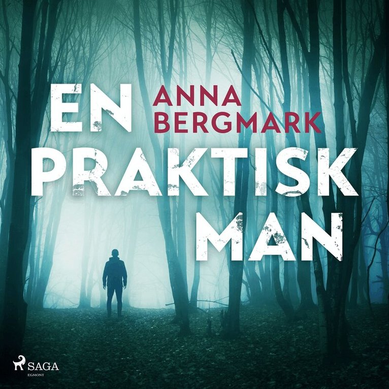 Anna Bergmark - En praktisk man, Ljudbok