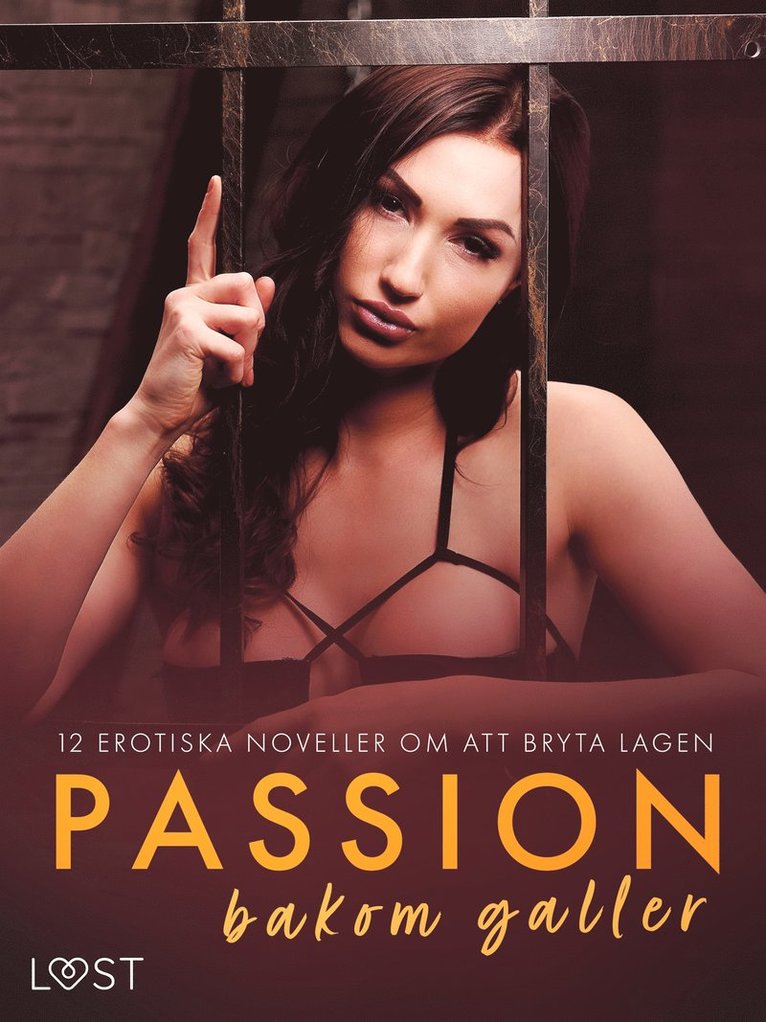 Shailene Craig, Camille Bech, Vanessa Salt, B. J. Hermansson, Olrik, Christina Tempest, Chrystelle LeRoy, Vicktoria Gilles, Desirée Coy, Sara Agnès L. - Passion bakom galler: 12 erotiska noveller om att bryta lagen, E-bok. Tillgänglighet: Lägg i varukorg