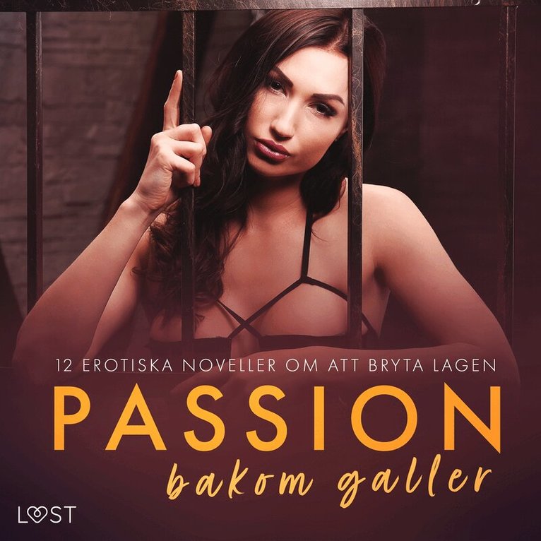 Shailene Craig, Camille Bech, Vanessa Salt, B. J. Hermansson, Olrik, Christina Tempest, Chrystelle LeRoy, Vicktoria Gilles, Desirée Coy, Sara Agnès L. - Passion bakom galler: 12 erotiska noveller om att bryta lagen, Ljudbok. Tillgänglighet: Lägg i varukorg