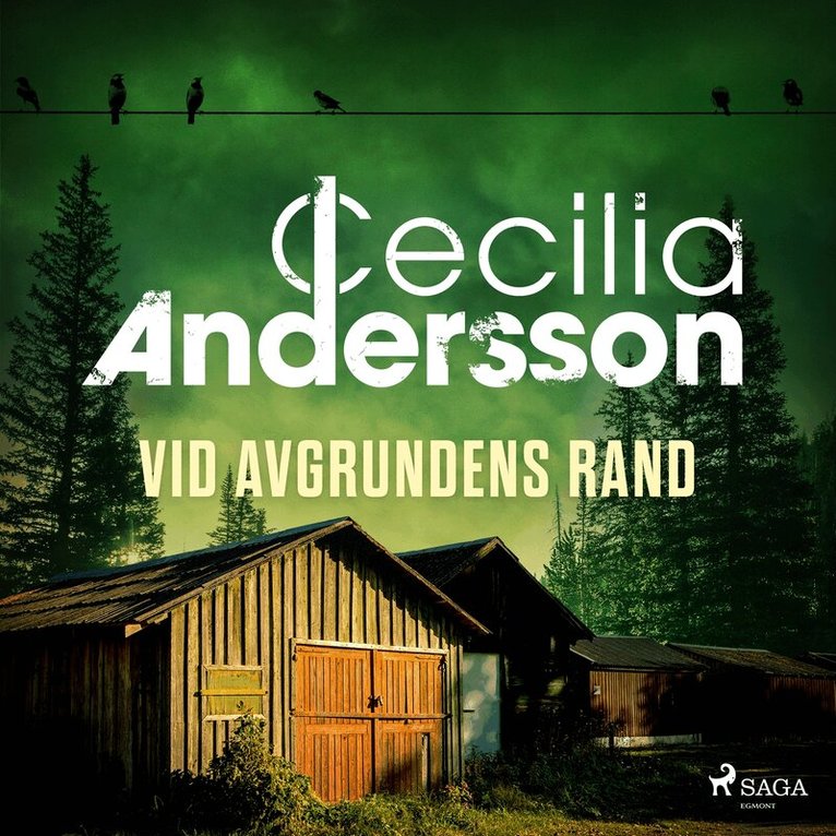 Cecilia Andersson, Cilla Ingeborg - Vid avgrundens rand, Ljudbok