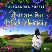 Stjrnorna ver Black Mountains