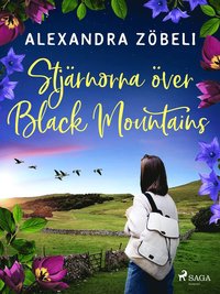 Stjrnorna ver Black Mountains