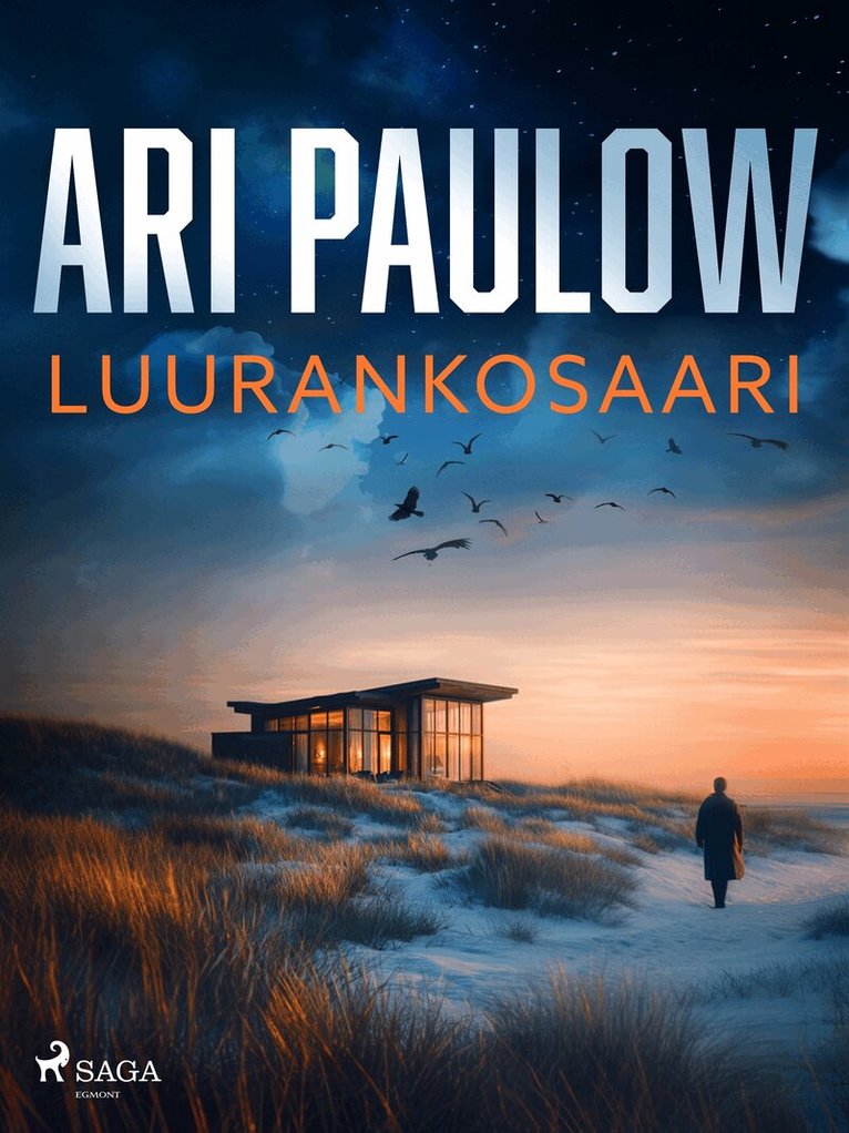 Ari Paulow - Luurankosaari, E-bok