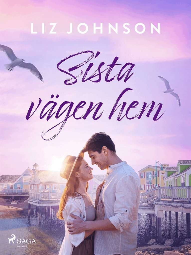 Liz Johnson - Sista vägen hem, E-bok