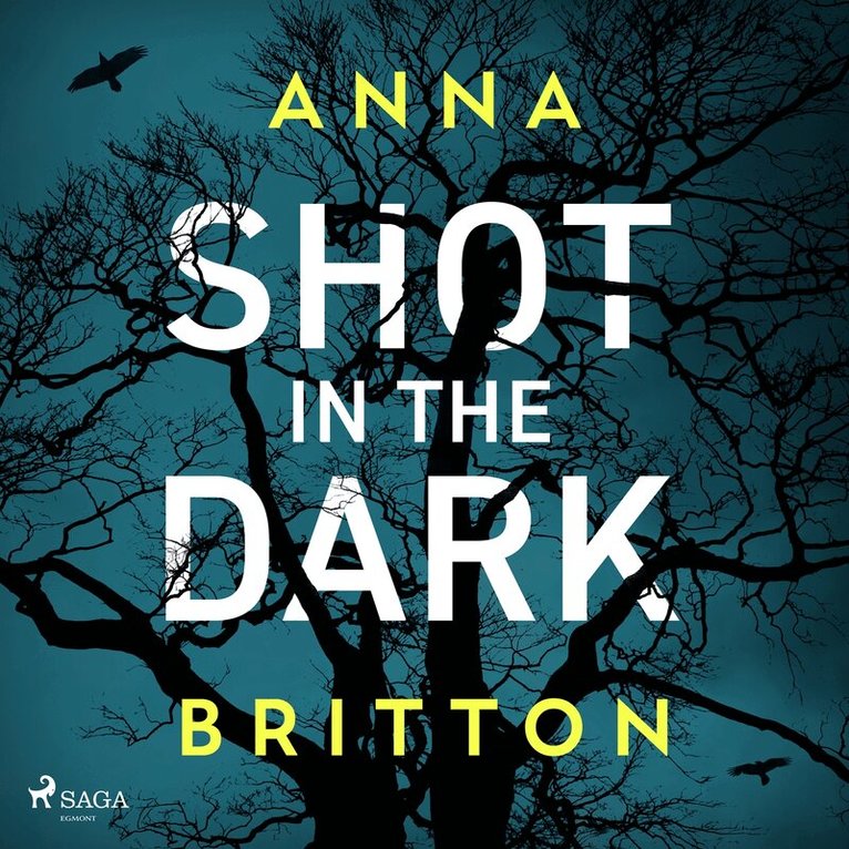 Anna Britton - Shot in the Dark, Ljudbok