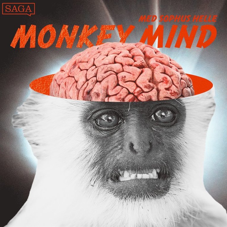 Sophus Helle - Monkey Mind, Ljudbok