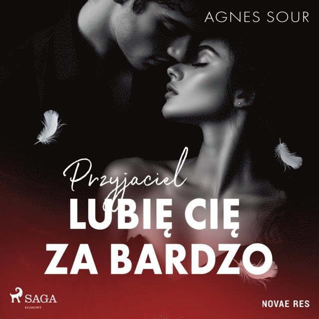 Sour - Przyjaciel. Lubię cię za bardzo, Ljudbok