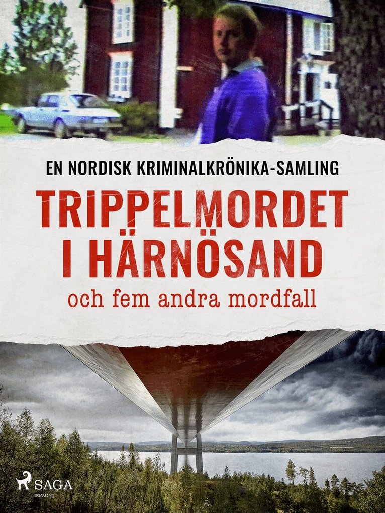 Diverse - Trippelmordet i Härnösand och fem andra mordfall, E-bok