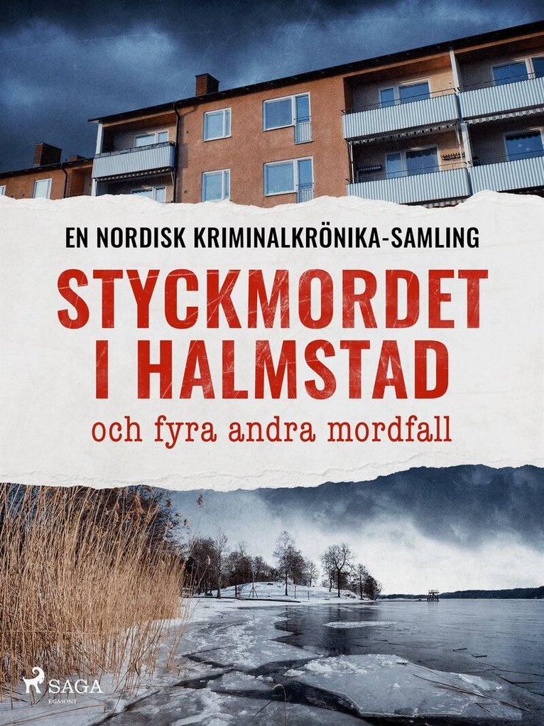 Diverse bidragsydere - Styckmordet i Halmstad och fyra andra mordfall, E-bok