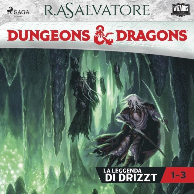 Salvatore - Dungeons & Dragons: Trilogia degli elfi scuri, Ljudbok