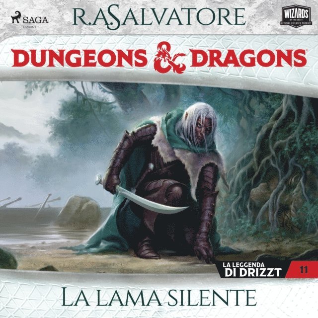 Salvatore - Dungeons & Dragons: La lama silente, Ljudbok