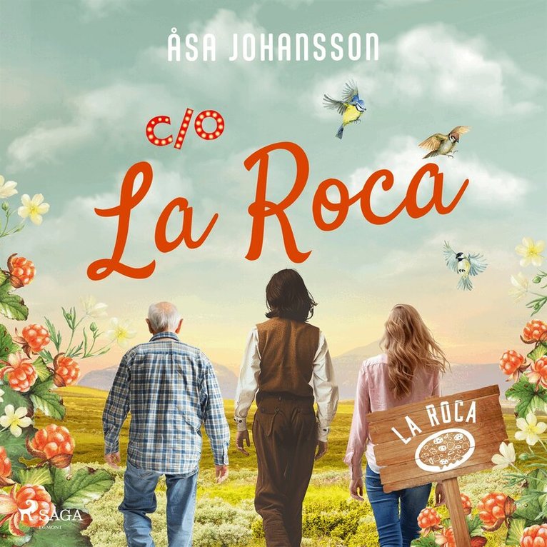 Åsa Johansson - C/O La Roca, Ljudbok