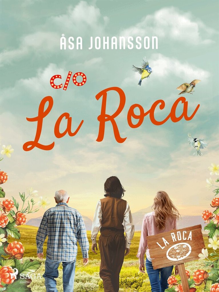 Åsa Johansson - C/O La Roca, E-bok