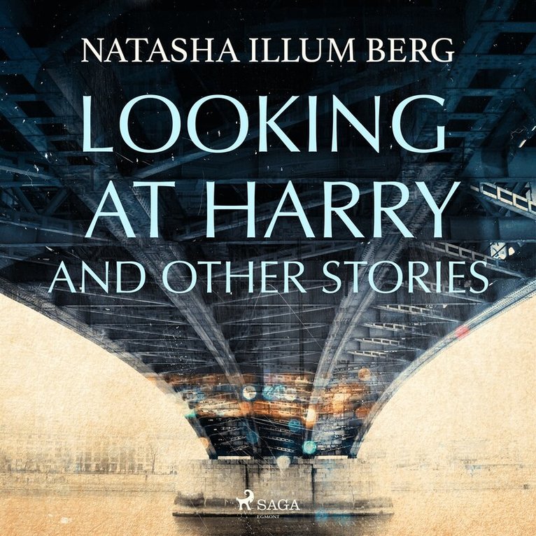 Natasha Illum Berg - Looking at Harry and Other Stories, Ljudbok