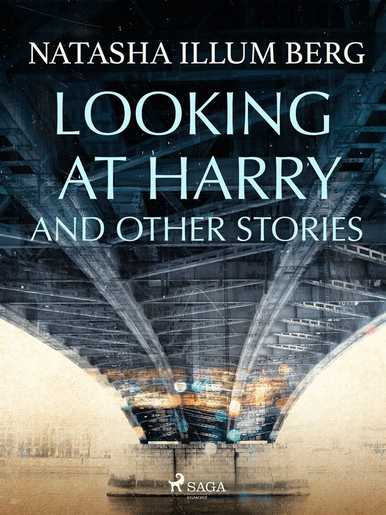 Natasha Illum Berg - Looking at Harry and Other Stories, E-bok