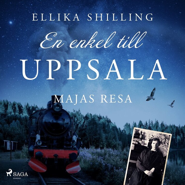 Ellika Shilling - En enkel till Uppsala, Ljudbok