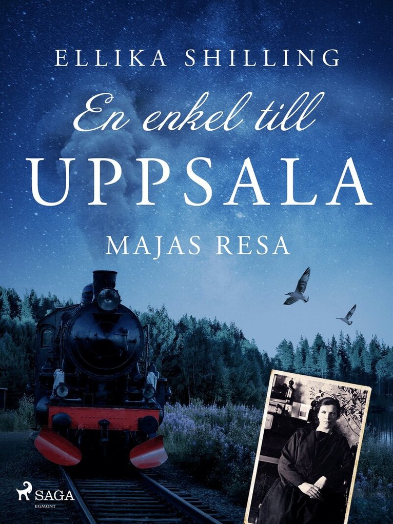 Ellika Shilling - En enkel till Uppsala, E-bok