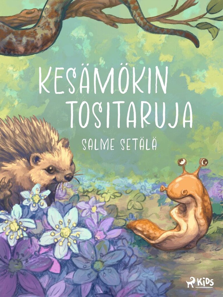 Salme Setälä - Kesämökin tositaruja, E-bok