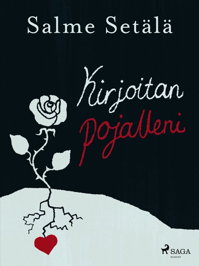 Salme Setälä - Kirjoitan pojalleni, E-bok