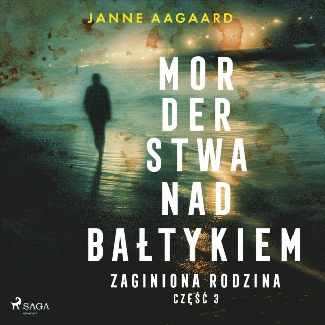Aagaard - Morderstwa nad Bałtykiem 3: Zaginiona rodzina, Ljudbok