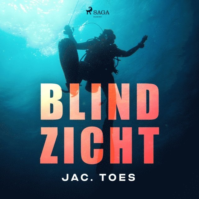 Toes - Blind zicht, Ljudbok