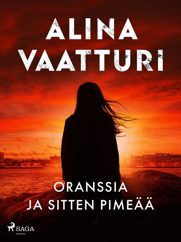 Alina Vaatturi - Oranssia ja sitten pimeää, E-bok