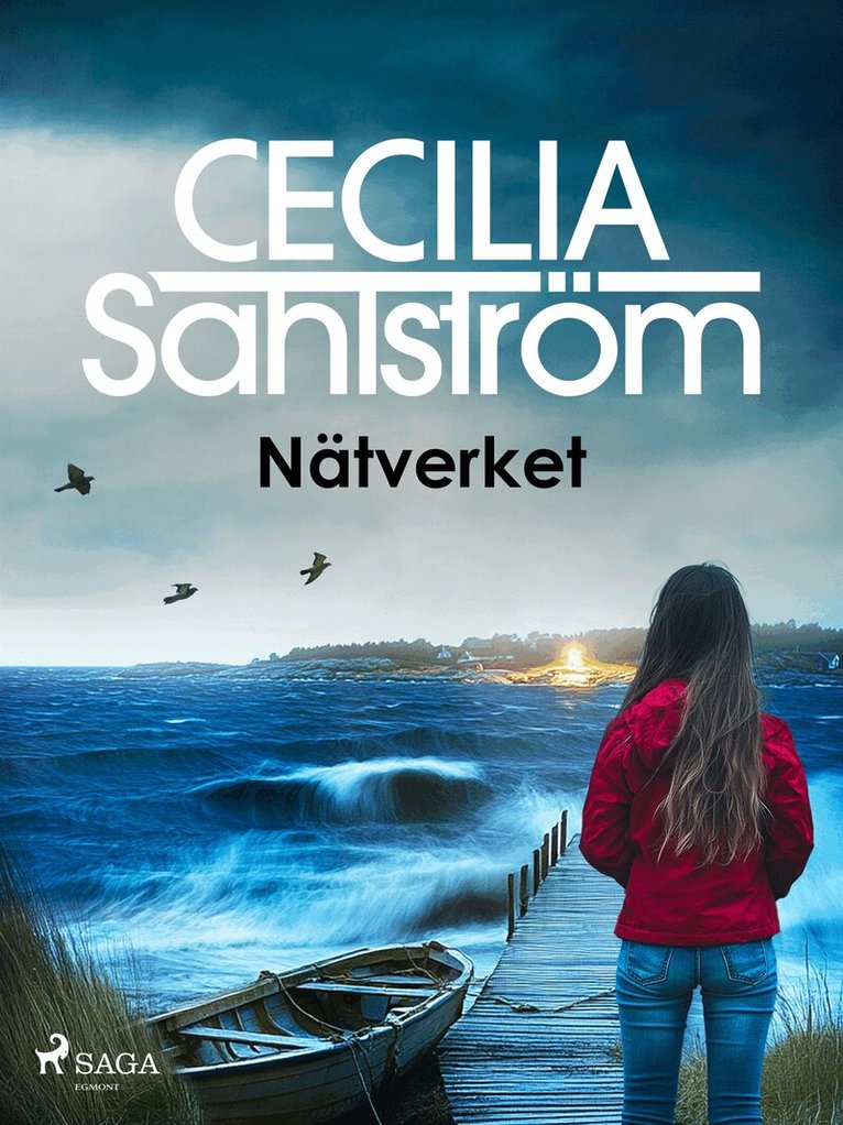 Cecilia Sahlström - Nätverket, E-bok