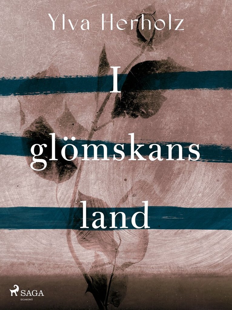 Ylva Herholz - I glömskans land, E-bok