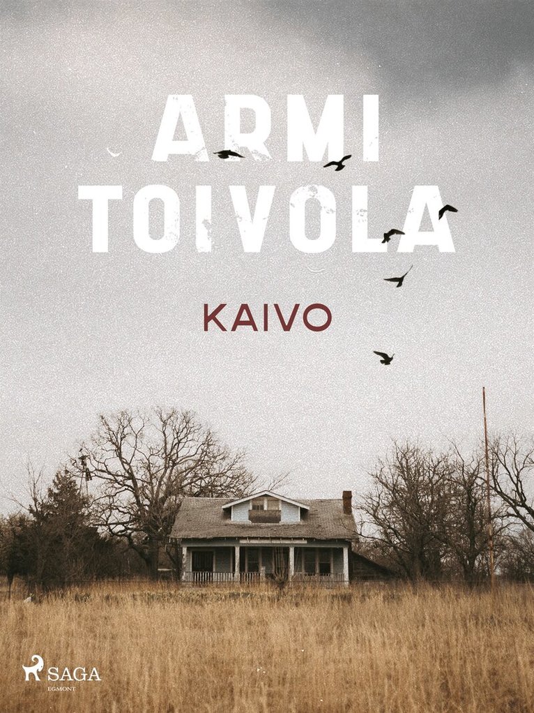 Armi Toivola - Kaivo, E-bok