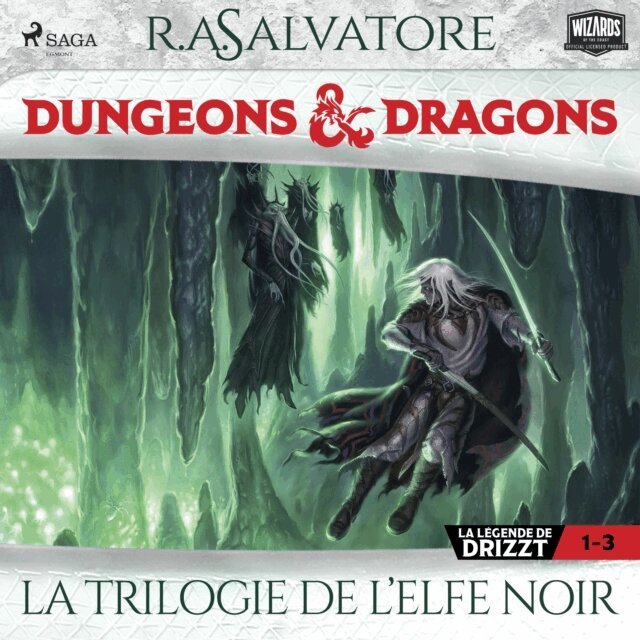 Salvatore - Compilation Dungeons & Dragons 1-3: La Trilogie de l’Elfe Noir, Ljudbok