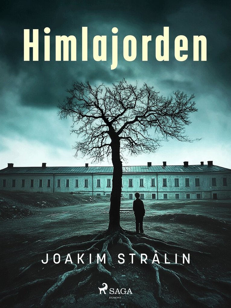 Joakim Strålin - Himlajorden, E-bok