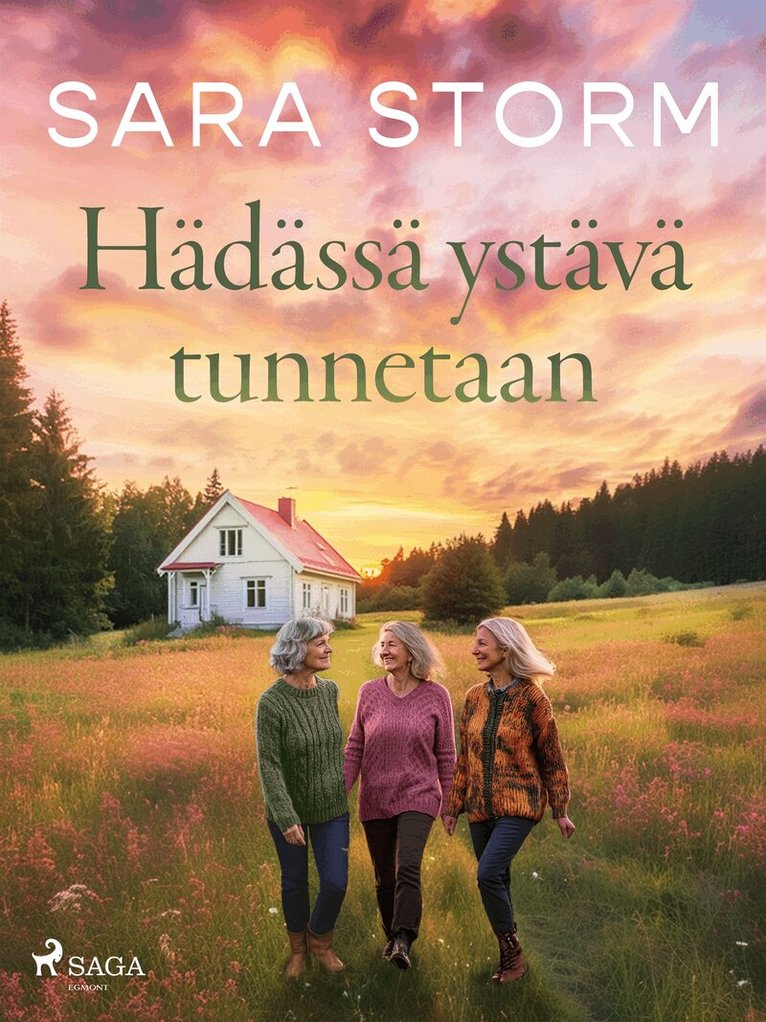 Sara Storm - Hädässä ystävä tunnetaan, E-bok