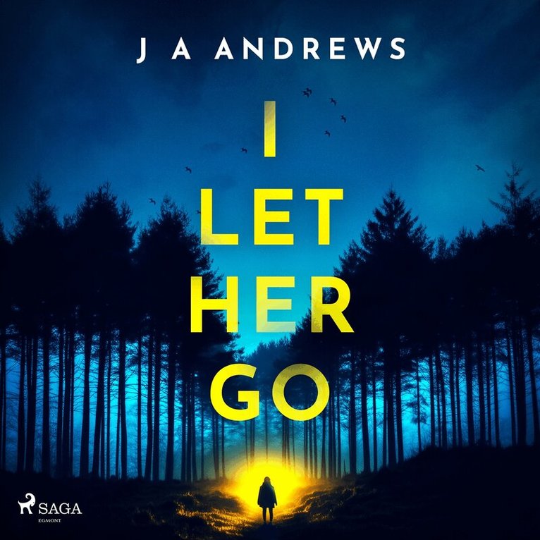 J A Andrews - I Let Her Go, Ljudbok