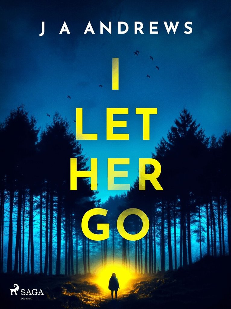 J A Andrews - I Let Her Go, E-bok