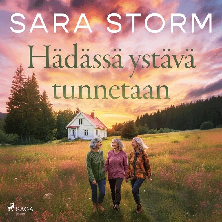 Sara Storm - Hädässä ystävä tunnetaan, Ljudbok