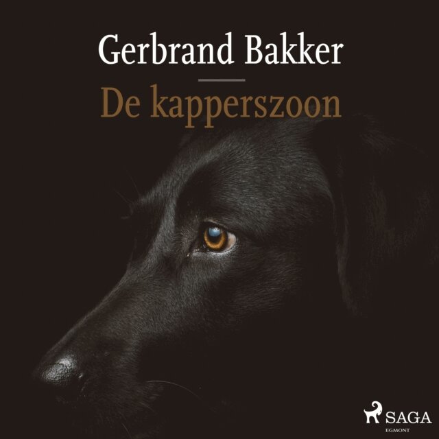 Bakker - De kapperszoon, Ljudbok
