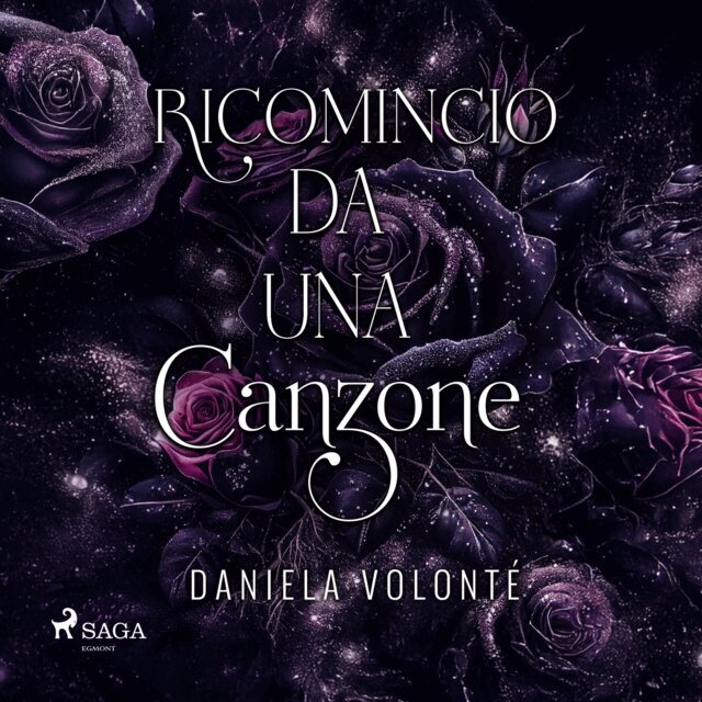 Volonte - Ricomincio da una canzone, Ljudbok
