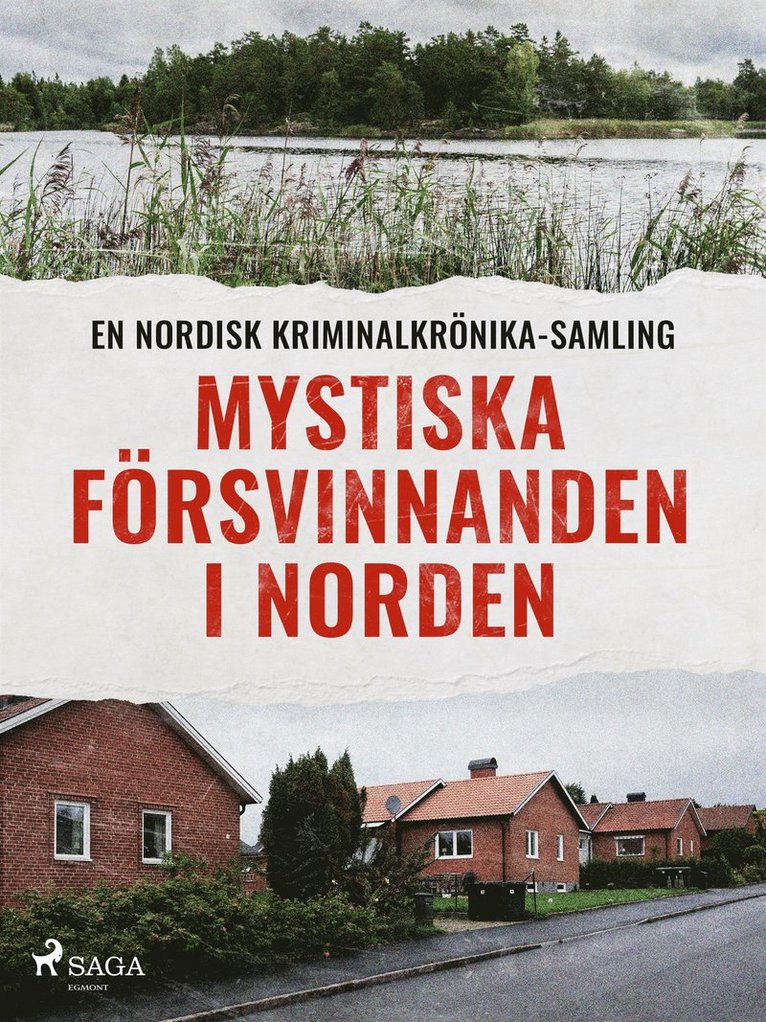 Diverse - Mystiska försvinnanden i Norden, E-bok