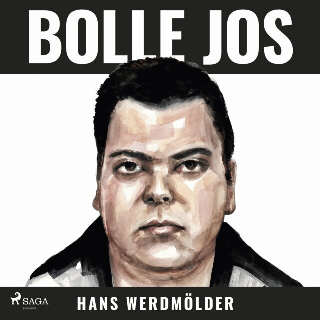 Werdmolder - Bolle Jos, Ljudbok