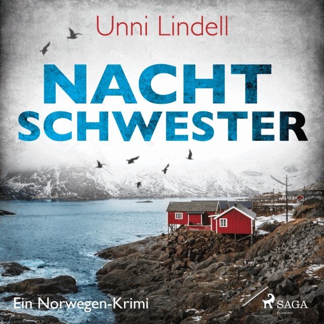Unni Lindell - Nachtschwester – Ein Norwegen–Krimi, Ljudbok