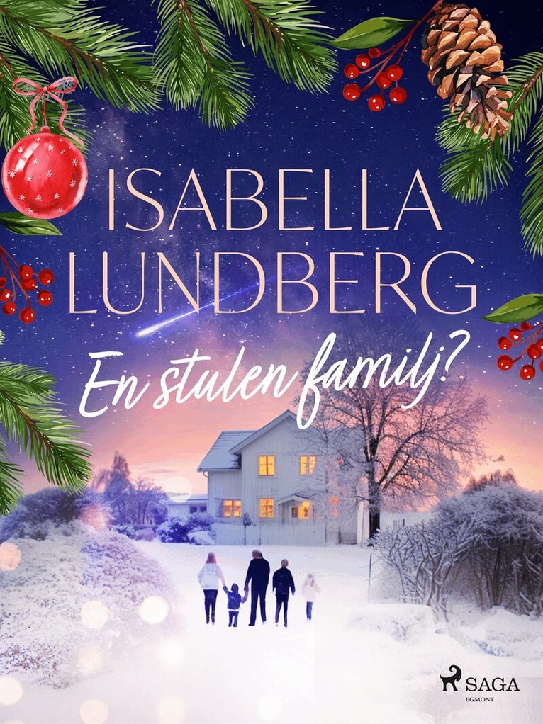 Isabella Lundberg - En stulen familj?, E-bok