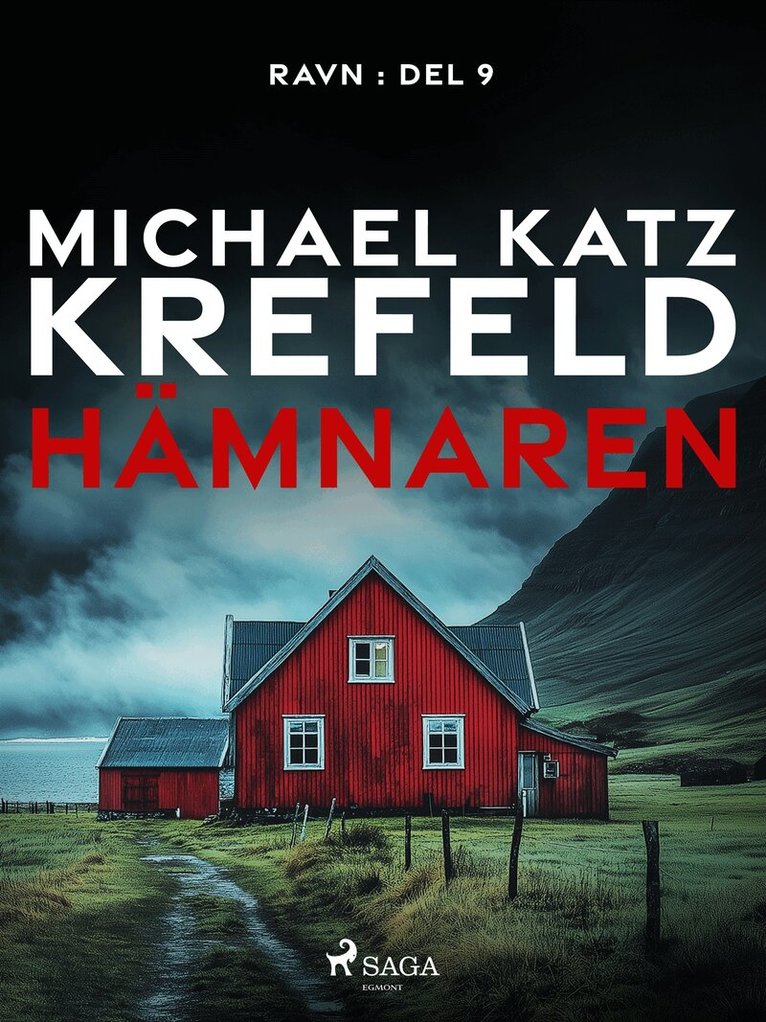 Michael Katz Krefeld - Hämnaren, E-bok