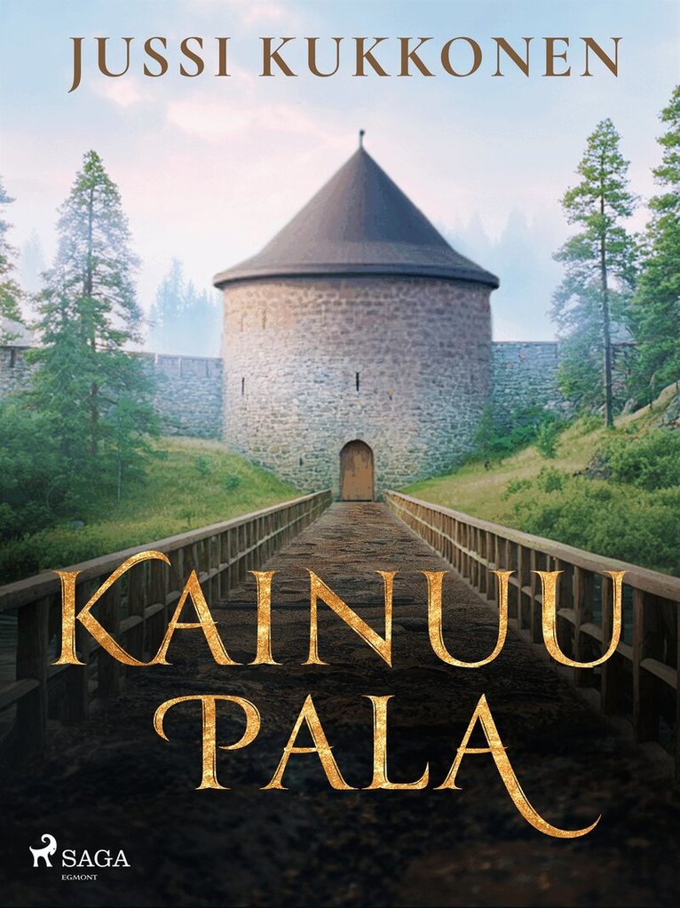 Jussi Kukkonen - Kainuu palaa, E-bok. Tillgänglighet: Lägg i varukorg
