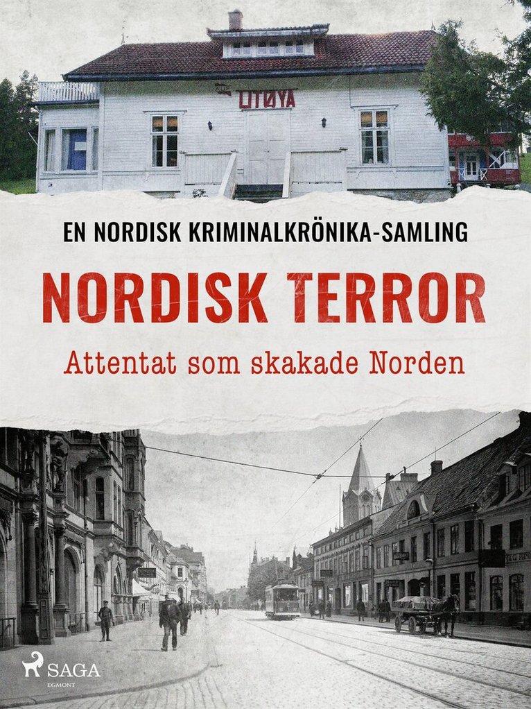 Diverse - Nordisk terror – Attentat som skakade Norden, E-bok