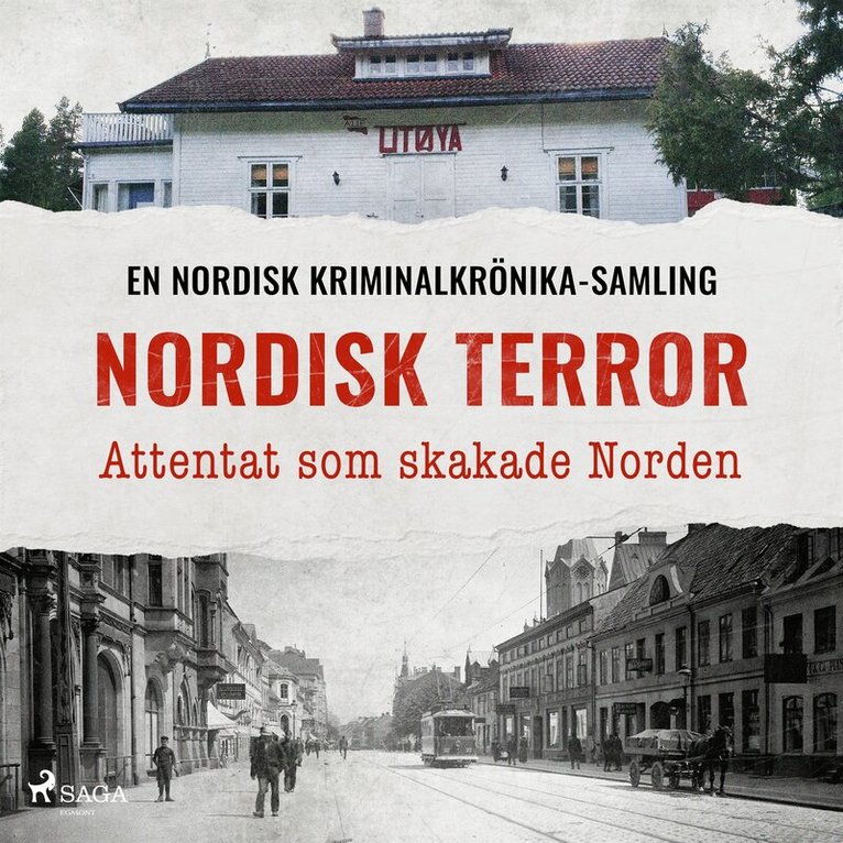 Diverse - Nordisk terror – Attentat som skakade Norden, Ljudbok