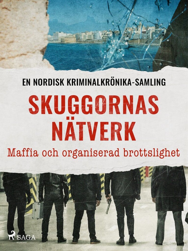 Diverse - Skuggornas nätverk – Maffia och organiserad brottslighet, E-bok