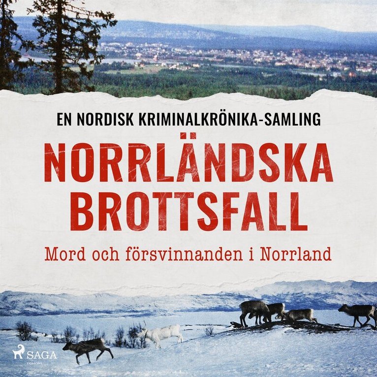 Diverse - Norrländska brottsfall – Mord och försvinnanden i Norrland, Ljudbok