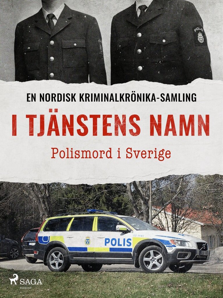 Diverse - I tjänstens namn – Polismord i Sverige, E-bok