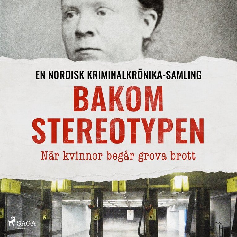 Diverse - Bakom stereotypen – När kvinnor begår grova brott, Ljudbok
